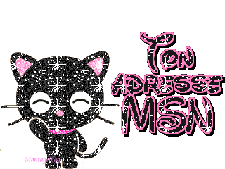 laisse ton adresse MsN...